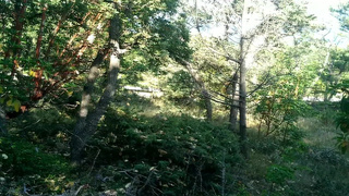 045 Amazing Holiday Cocksucking ¦ Outdoor Blowjob, POV_Laruna_Mave_1080p.mp4