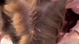 Осторожно, горячее видео – отсос с видом на город