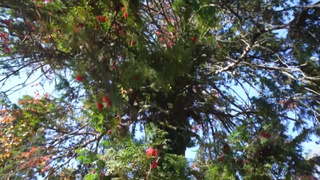 Горячий разряд: дотрахал до криков удовольствия