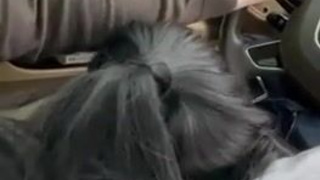 Горячее секс-видео: таксист и страстная пассажирка